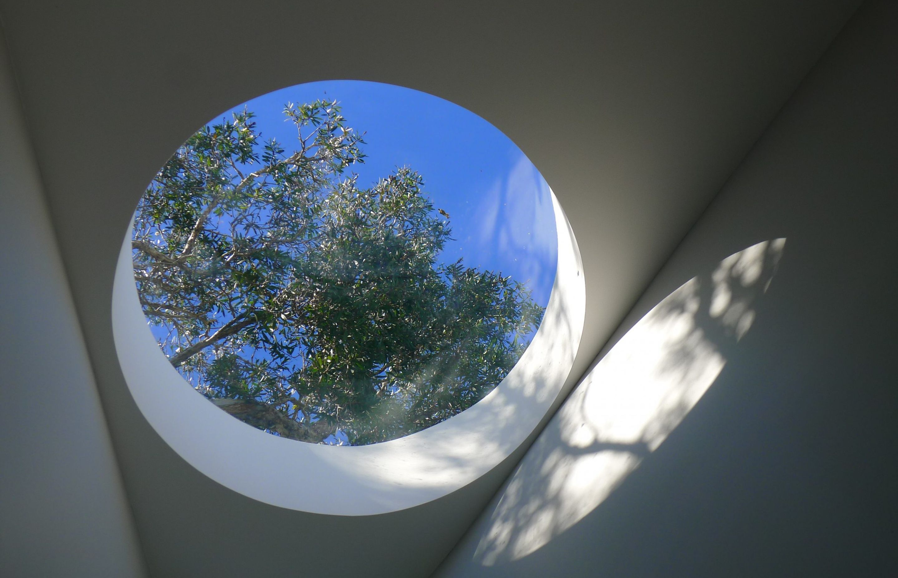 Curl Curl House