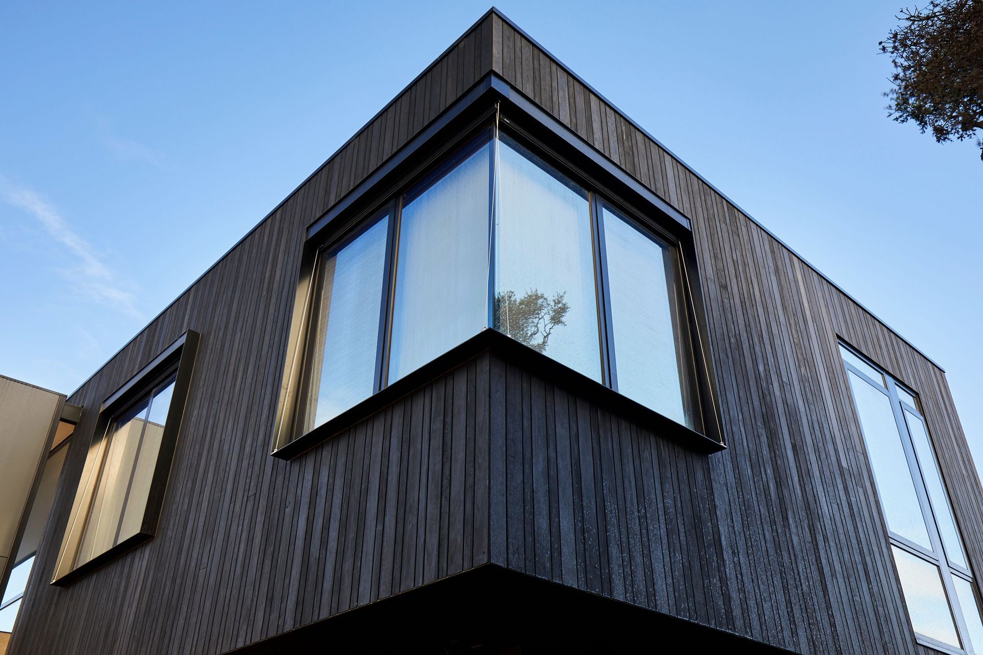 Photo Credit: Tania Lee