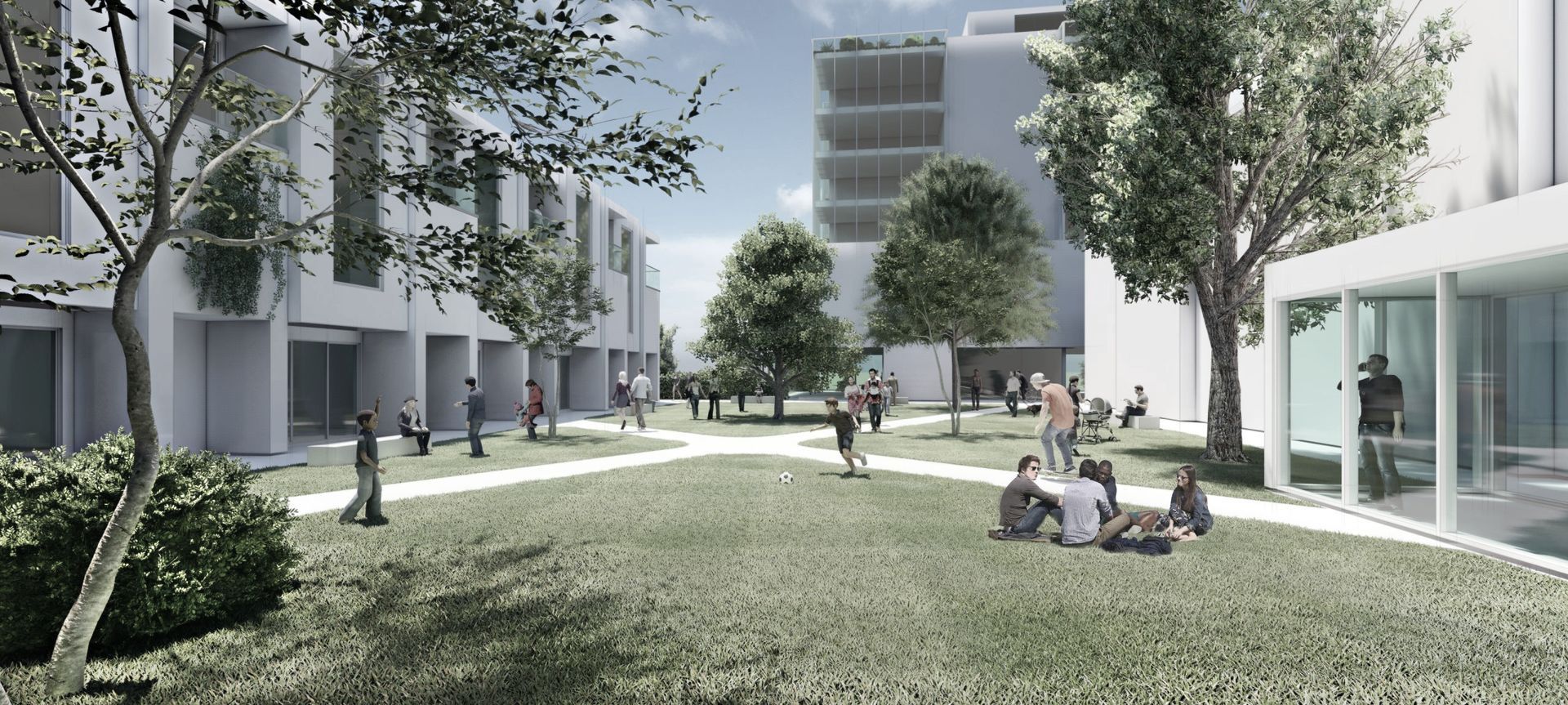Rowville Mixed-Use Development banner