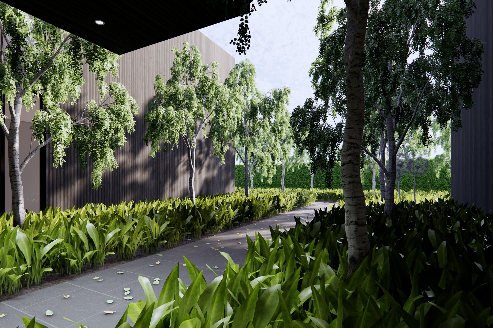 australian-entrance-6.jpg