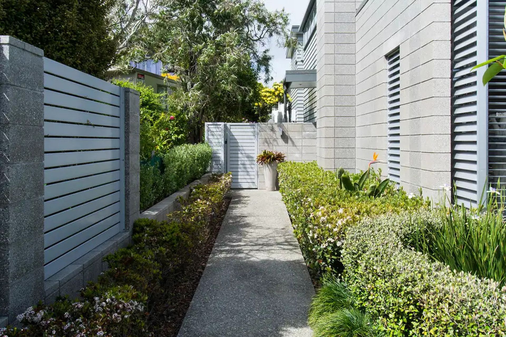 Devon Road Residence