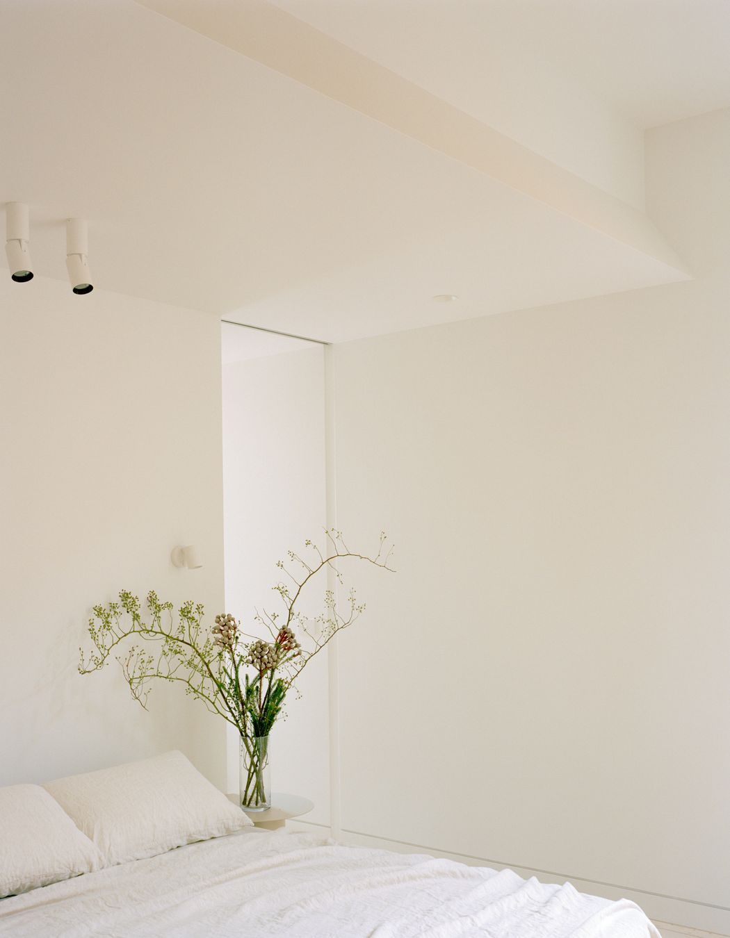 Gable Clerestory House