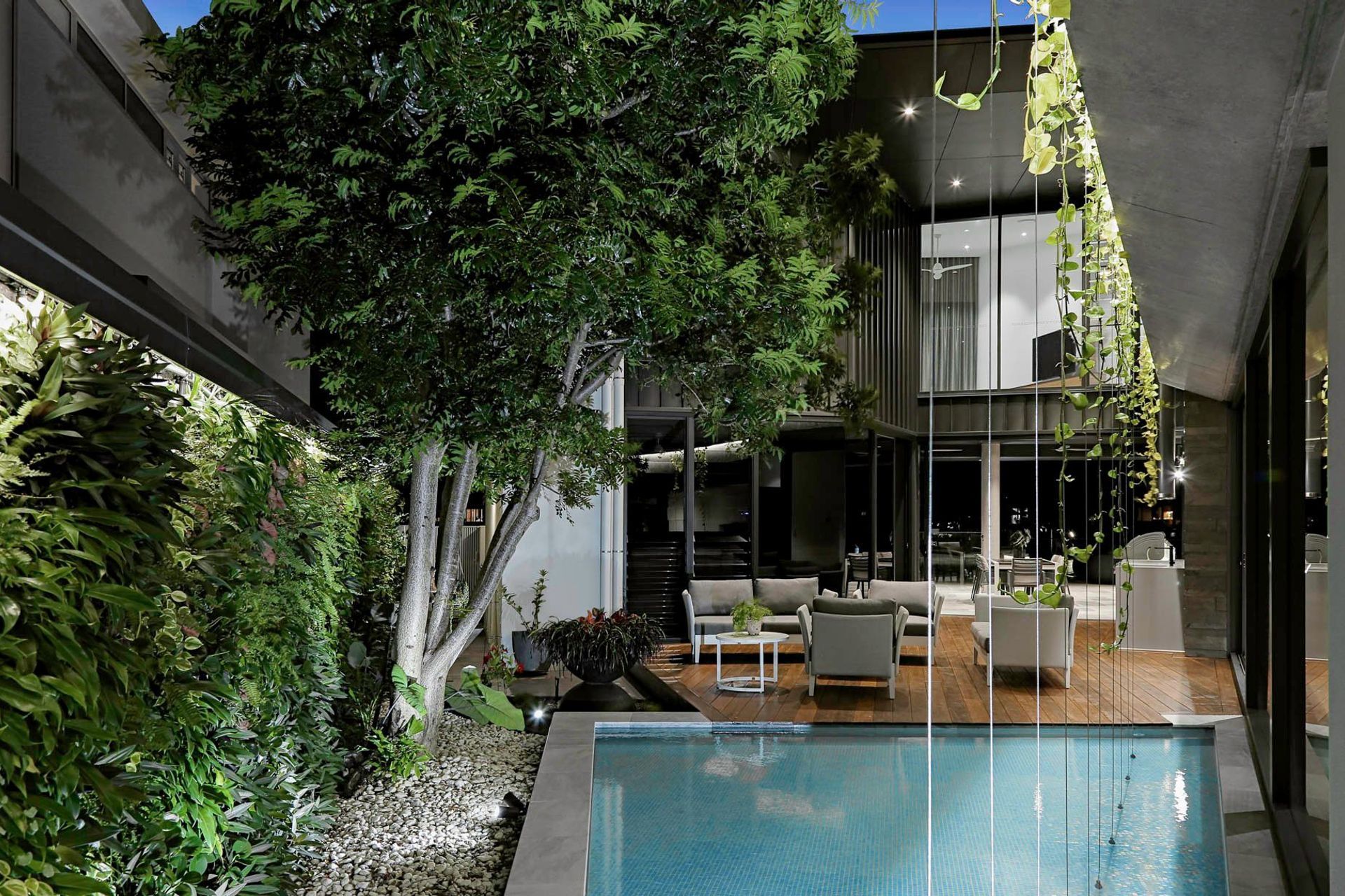 Robbie Residence - Pool. Pool courtyard framed by a lush vertical garden.
