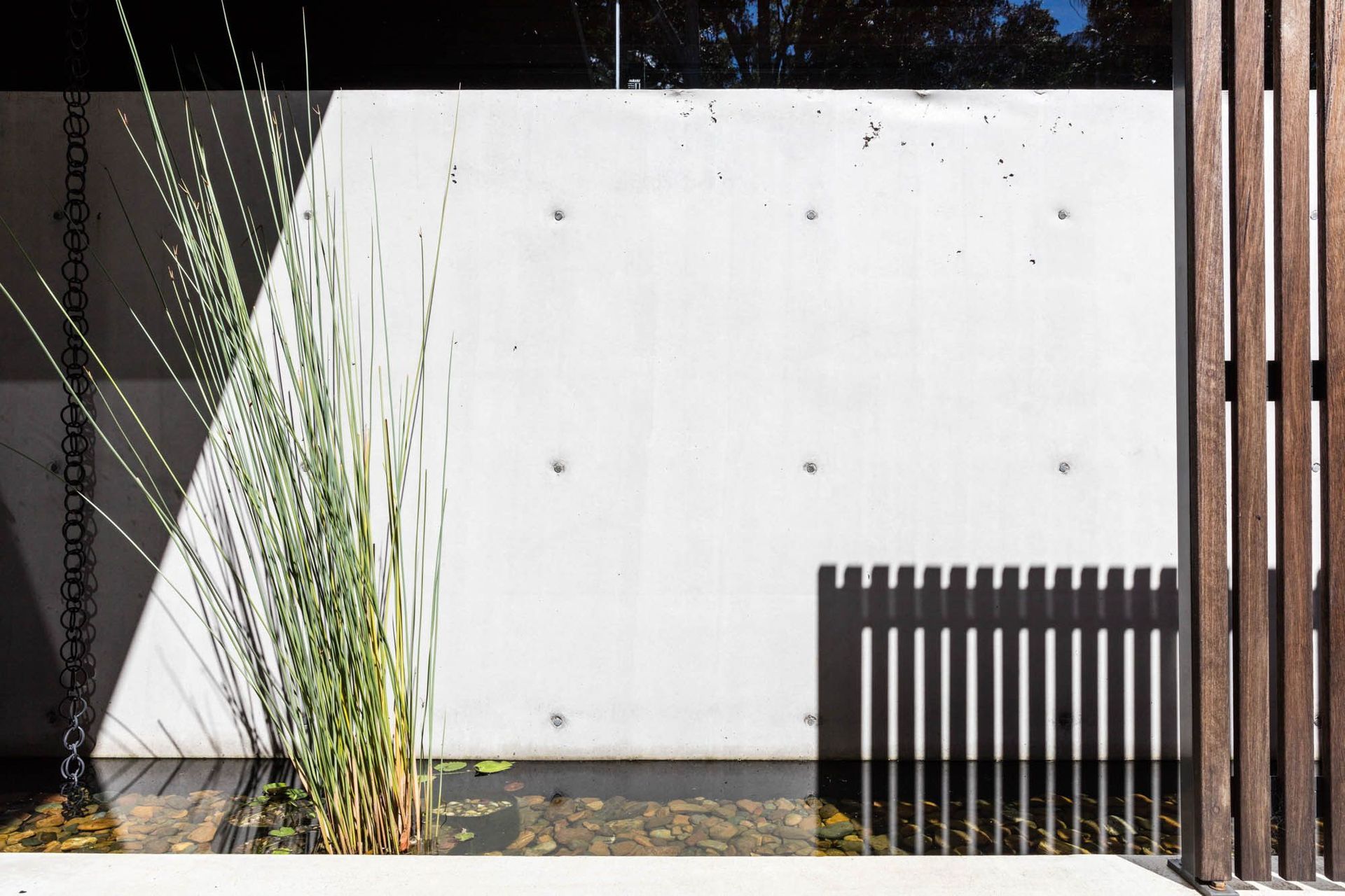 Watson Residence - Exterior. Concrete wall and timber battened gate with grasses.