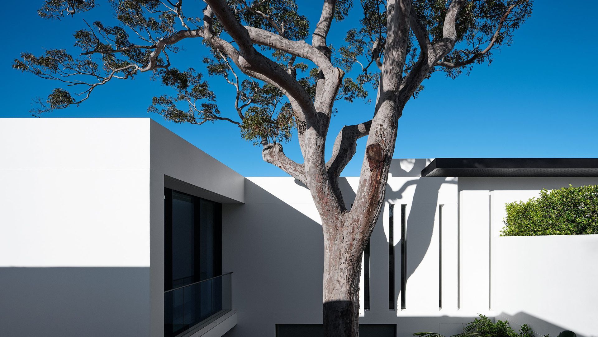 Mosman banner