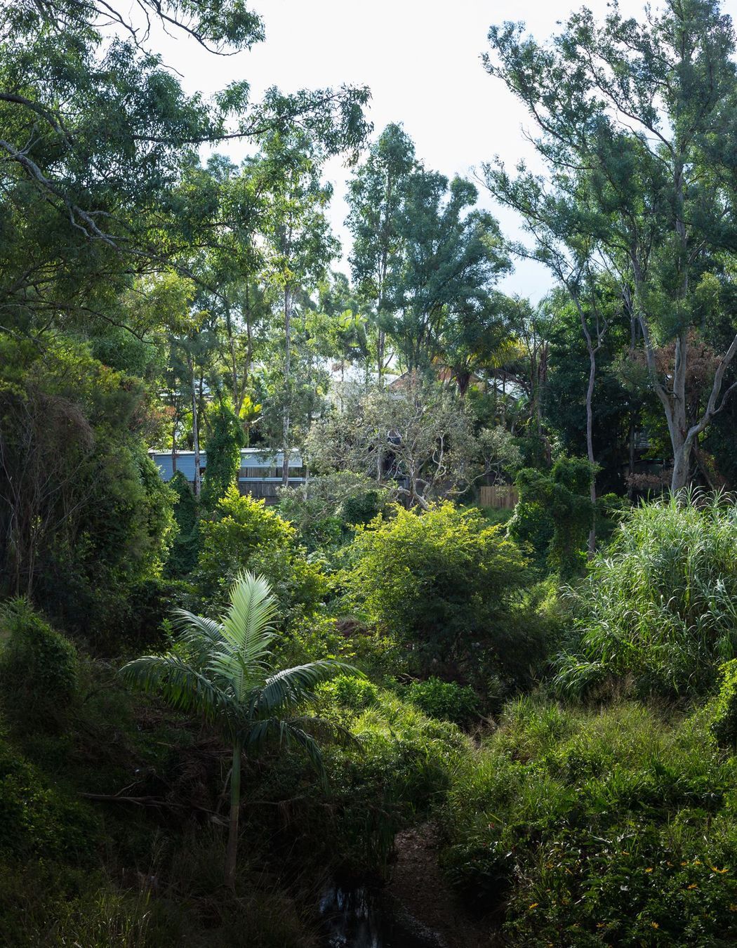 Yeerongpilly Poolhouse