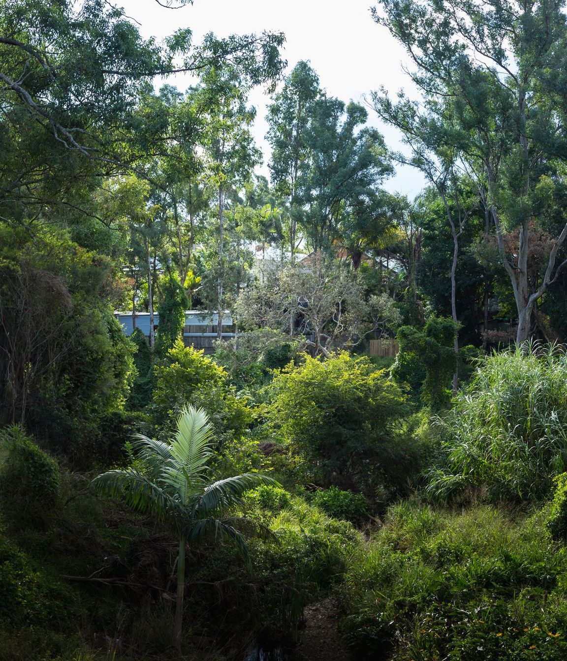 Yeerongpilly Poolhouse