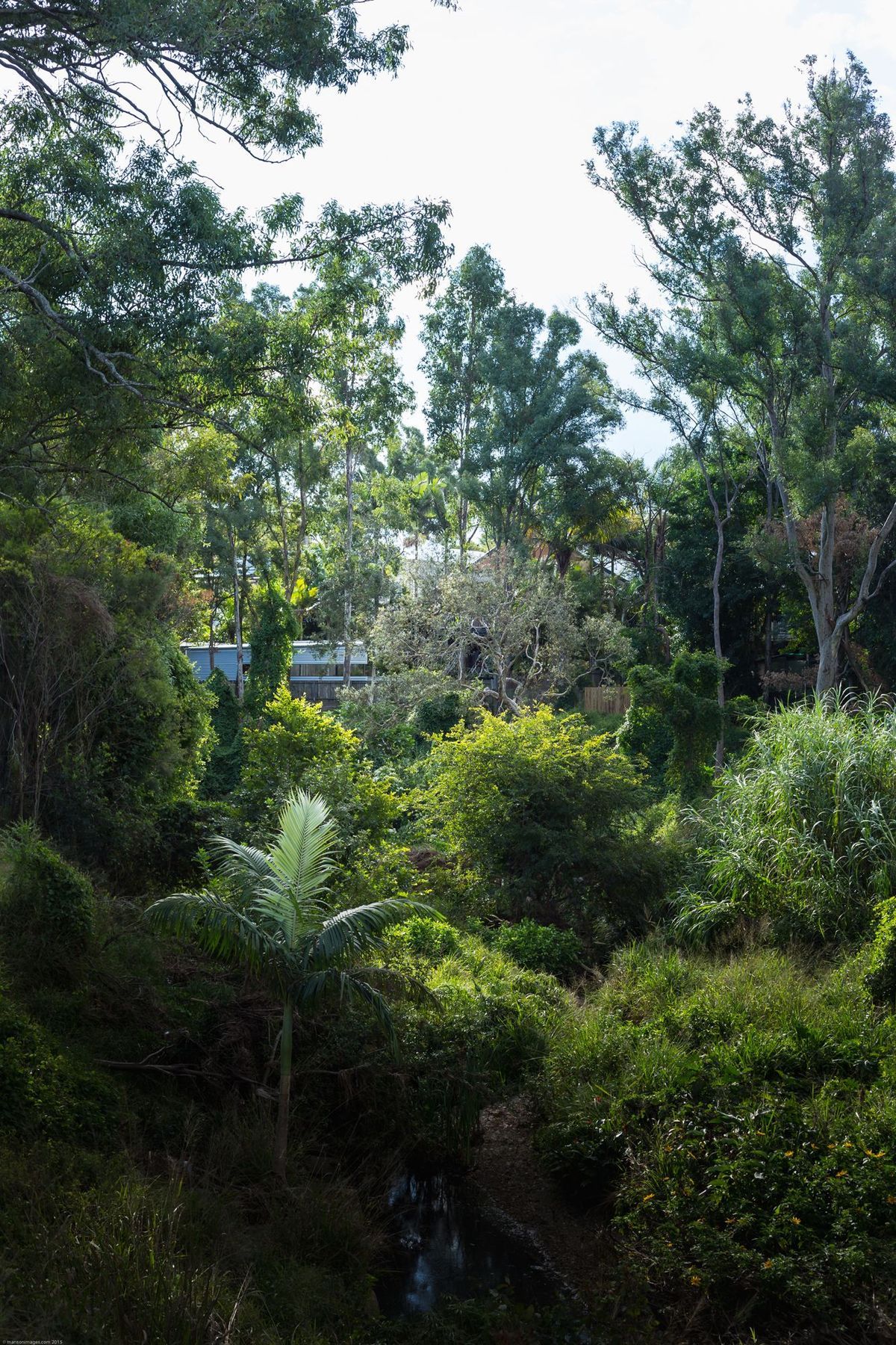 Yeerongpilly Poolhouse