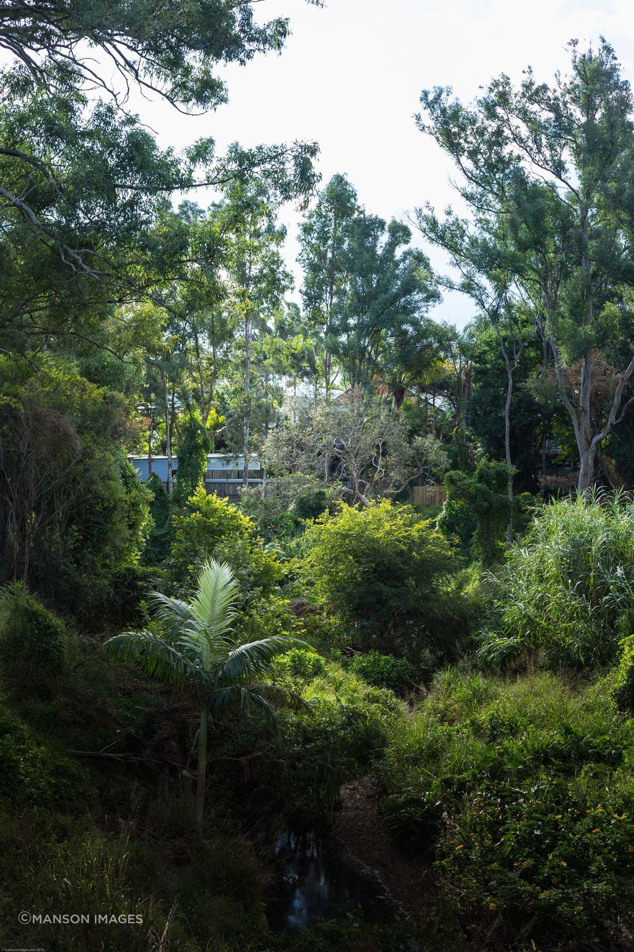 Yeerongpilly Poolhouse