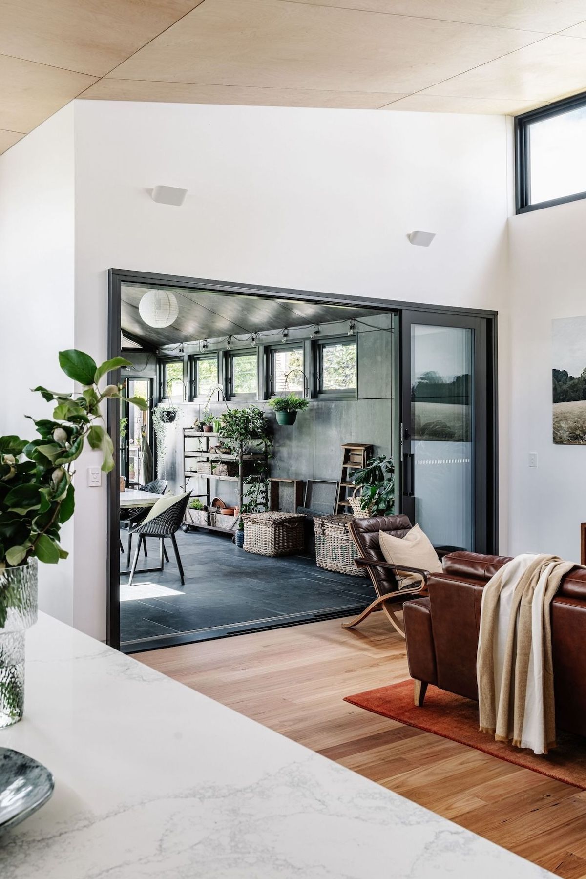 04-envirotecture-greenhousegrove-renovation-victoria-livingroom.jpg