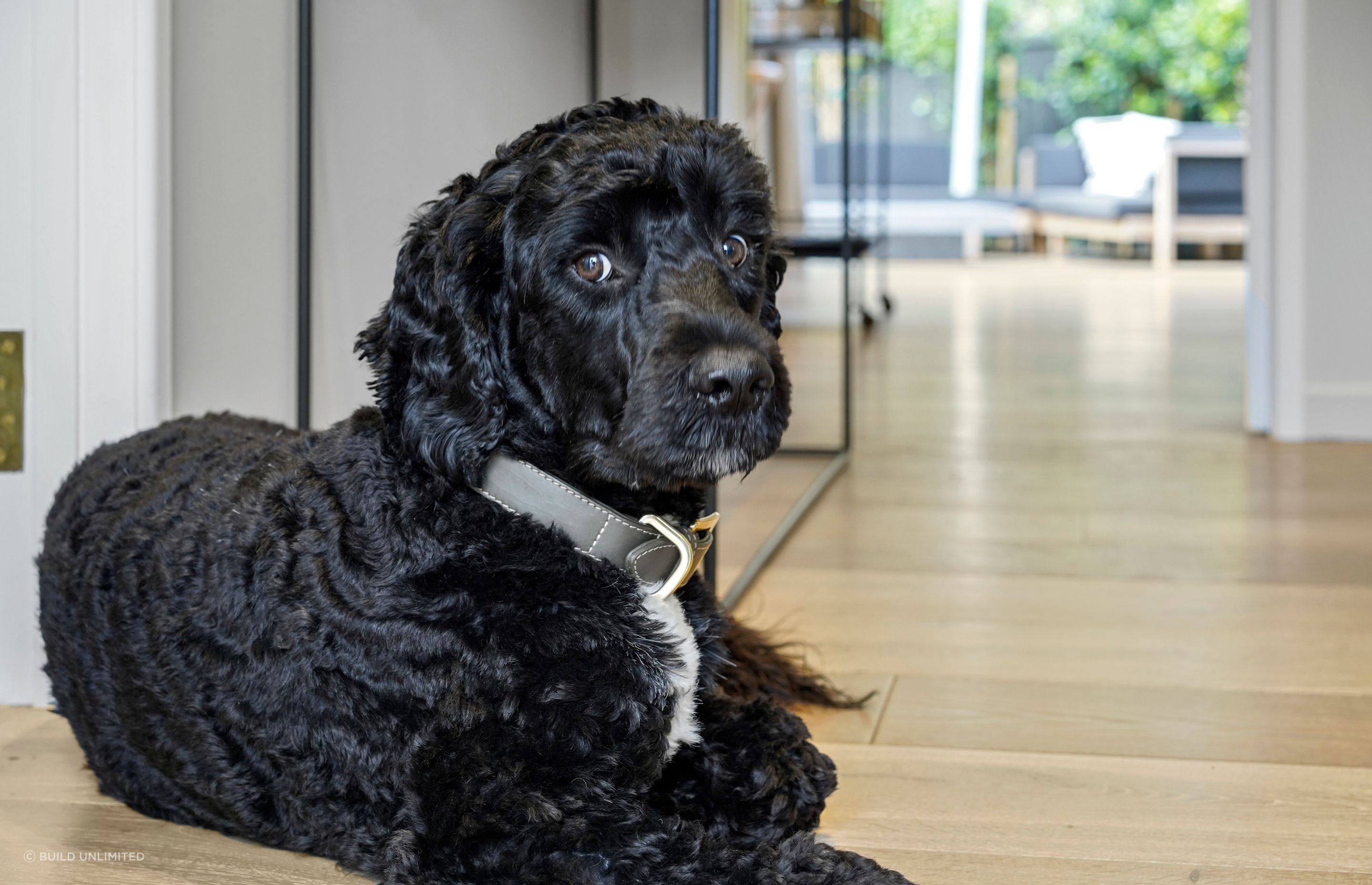 Even the dog knows this is the best spot in the house. This hallway was designed to feel open, warm, and welcoming, tail wags included.