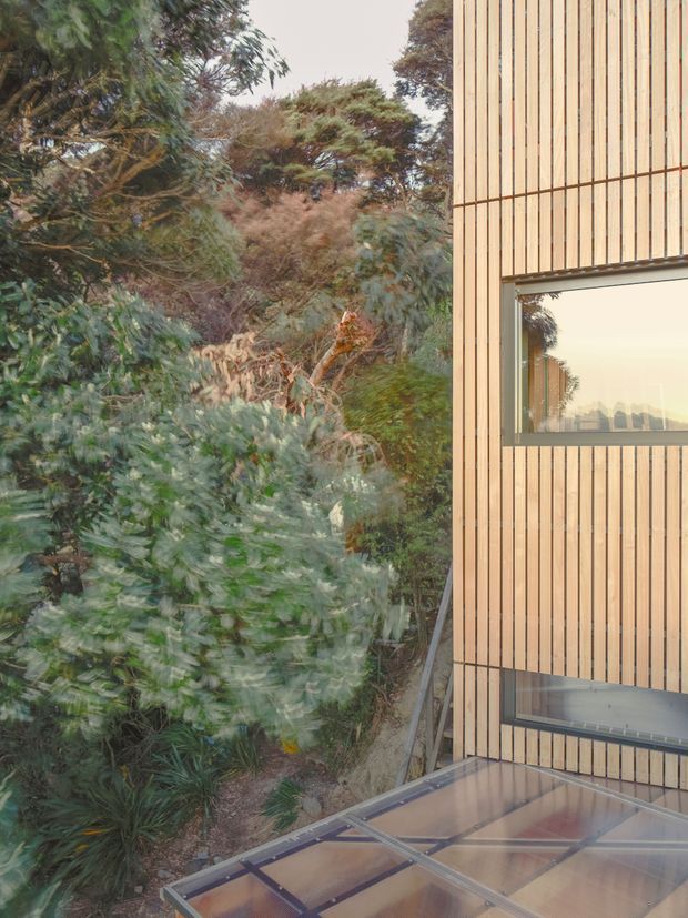 Exterior architectural detail of a contemporary building set within dense landscaped vegetation. The facade is clad in narrow vertical light timber battens, with dark-framed rectangular windows and a translucent glazed canopy or roof structure in the foreground. The natural setting dominates the left side of the image, while the building facade occupies the right.
