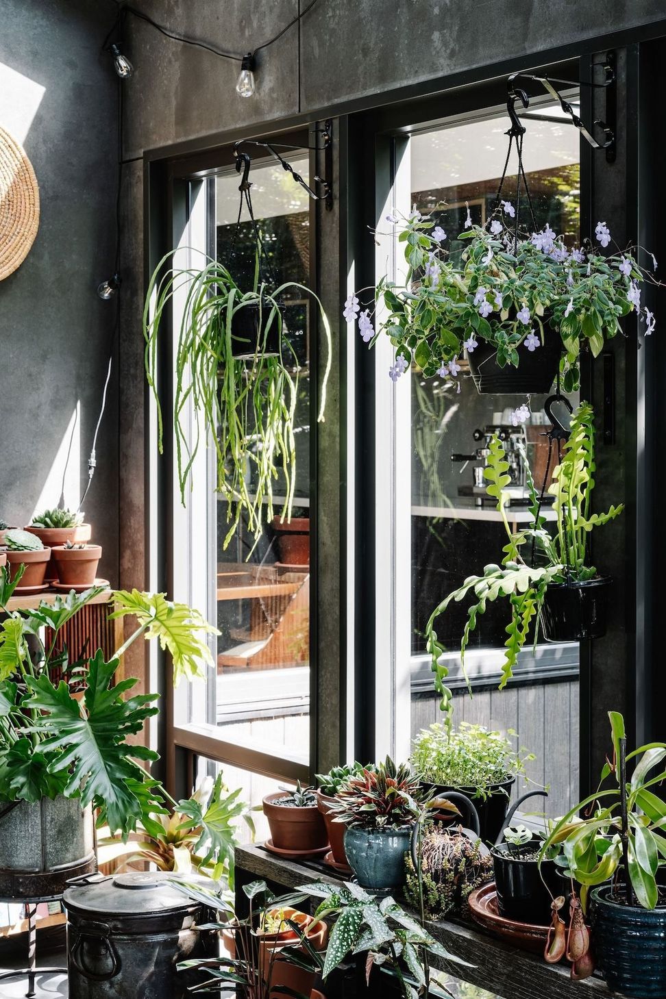 06-envirotecture-greenhousegrove-renovation-victoria-greenhouse.jpg