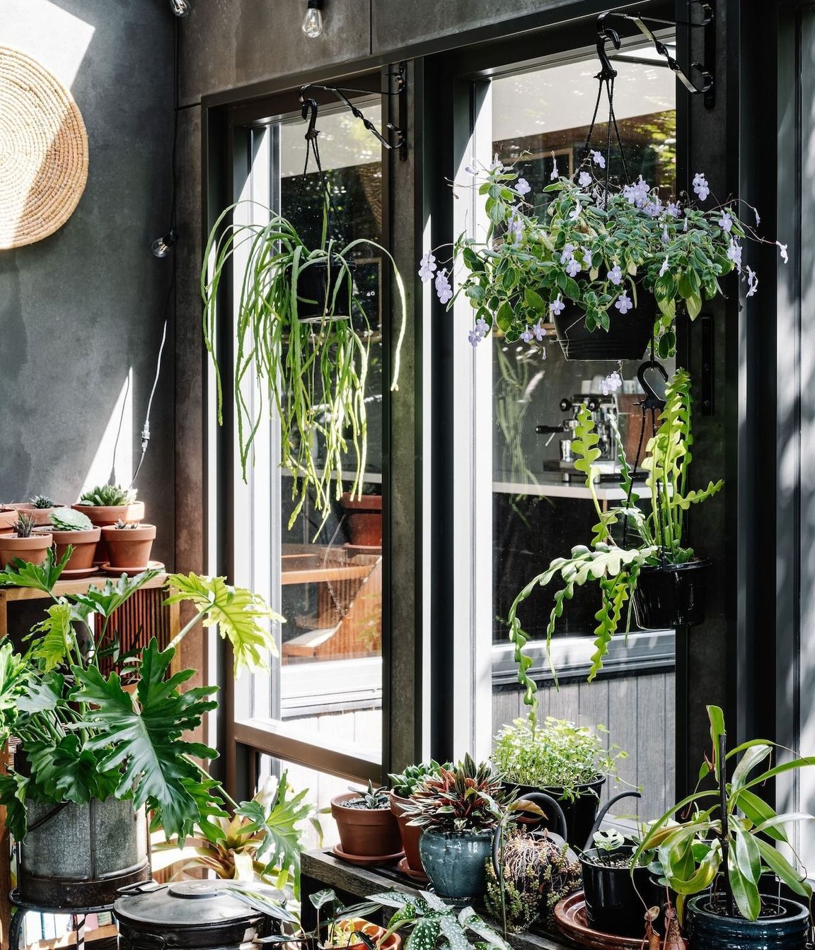 06-envirotecture-greenhousegrove-renovation-victoria-greenhouse.jpg