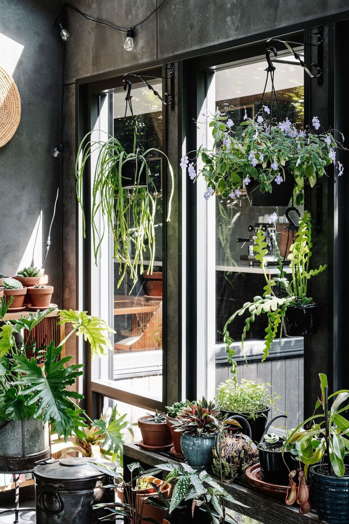 06-envirotecture-greenhousegrove-renovation-victoria-greenhouse.jpg
