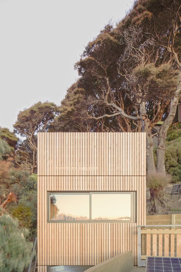 A compact contemporary building or extension nestled among dense coastal vegetation. The facade is clad in closely spaced vertical light timber battens, with a large horizontal window reflecting the surrounding landscape. A timber deck or balcony with simple vertical railing is visible at lower right, along with a rooftop solar panel. The setting appears wooded and secluded, with a muted natural palette and warm, textured exterior.