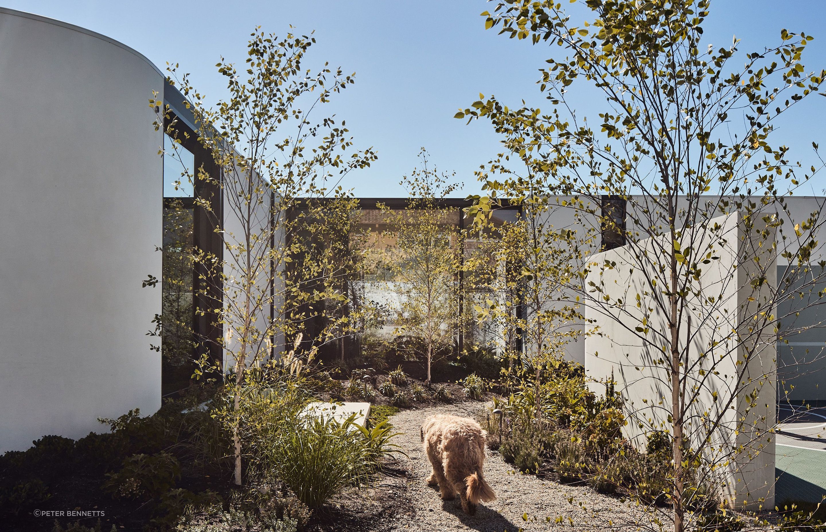 The Bridge House