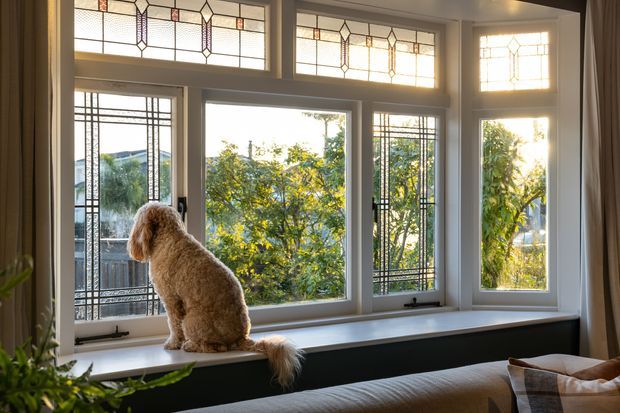 A bright, traditional-style bedroom interior featuring a large bay window with ornate leadlight and stained-glass transom panels, slim dark window framing, and a deep built-in window seat. A fluffy dog sits on the seat overlooking leafy suburban surroundings. The lower foreground shows part of a bed with neutral bedding and cushions, while curtains frame the window.