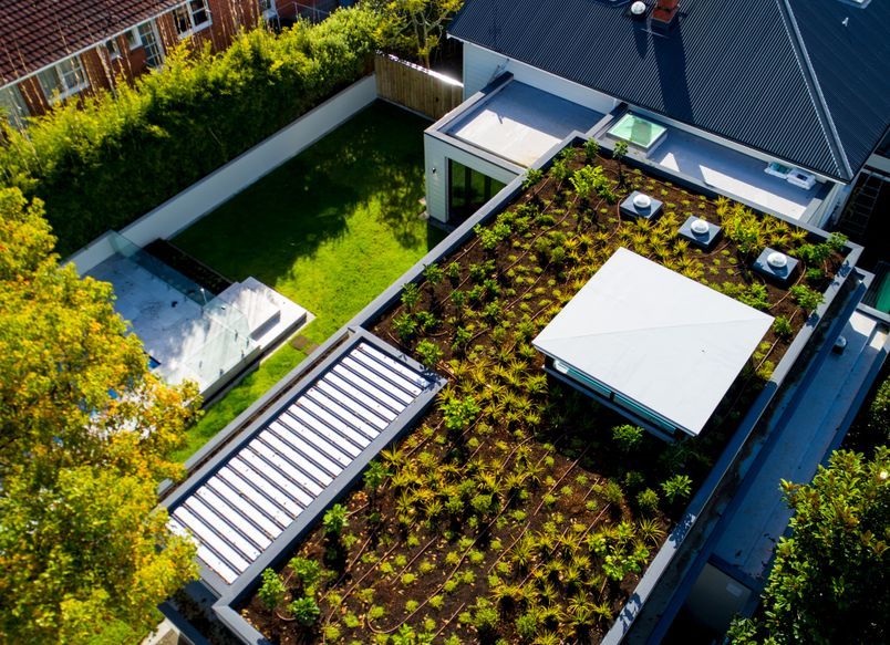 A considerably large green footprint has been left ... on the roof