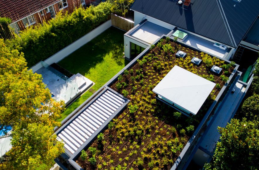 A considerably large green footprint has been left ... on the roof