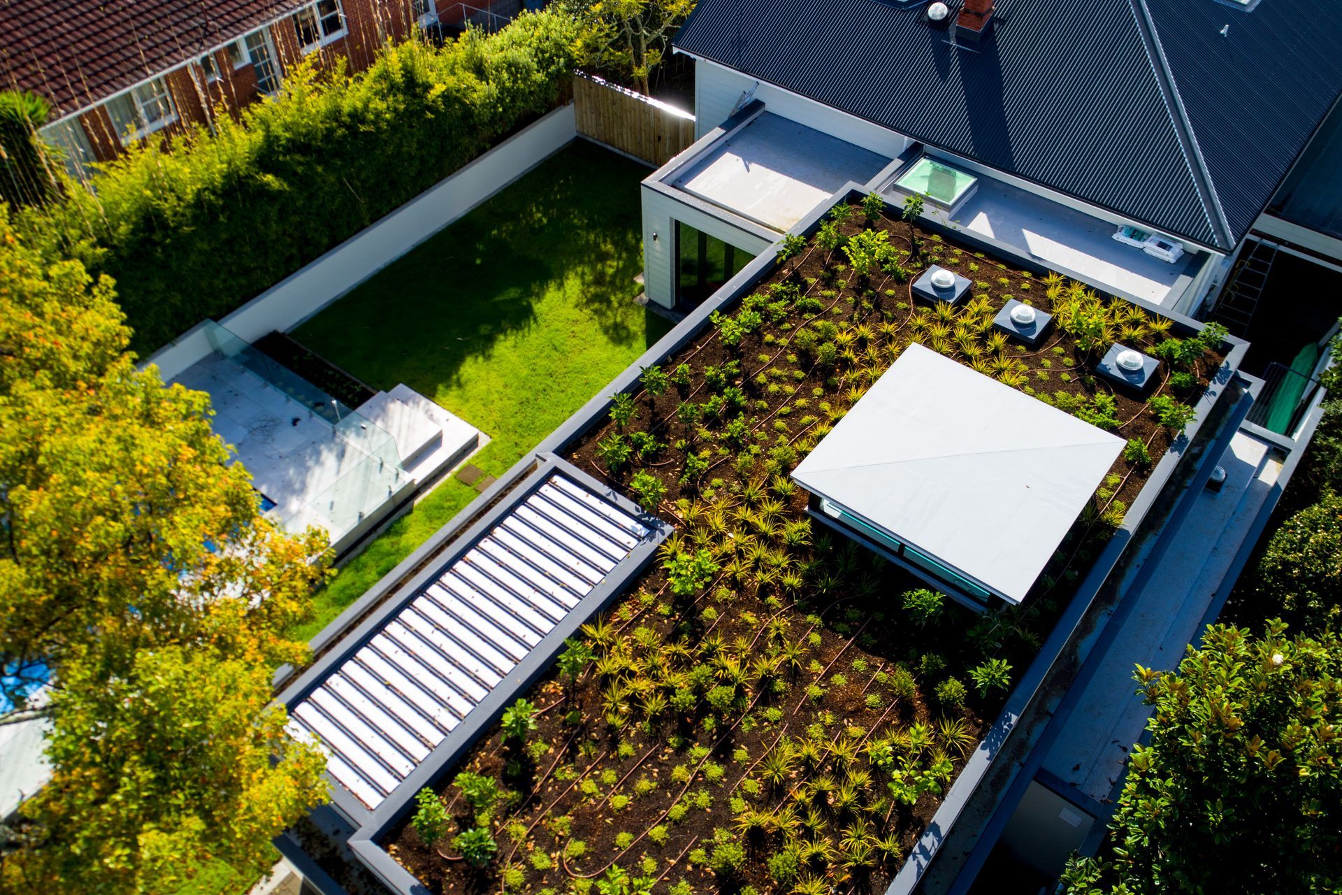 A considerably large green footprint has been left ... on the roof