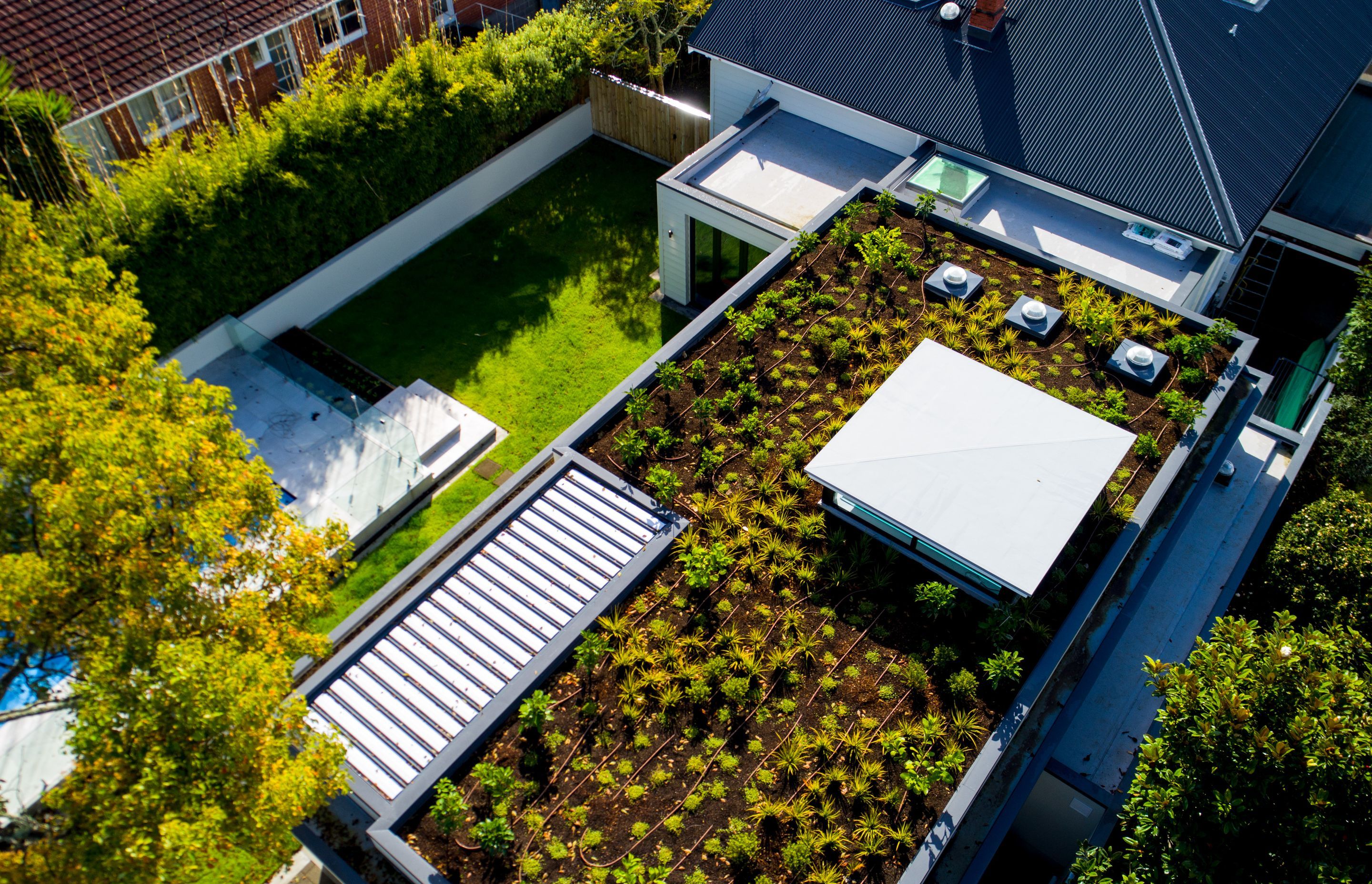 A considerably large green footprint has been left ... on the roof