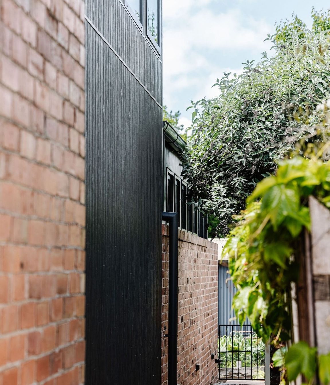 13-envirotecture-greenhousegrove-renovation-victoria-external.jpg