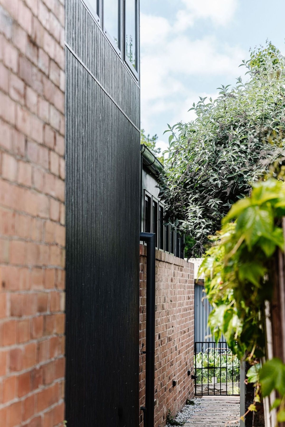 13-envirotecture-greenhousegrove-renovation-victoria-external.jpg