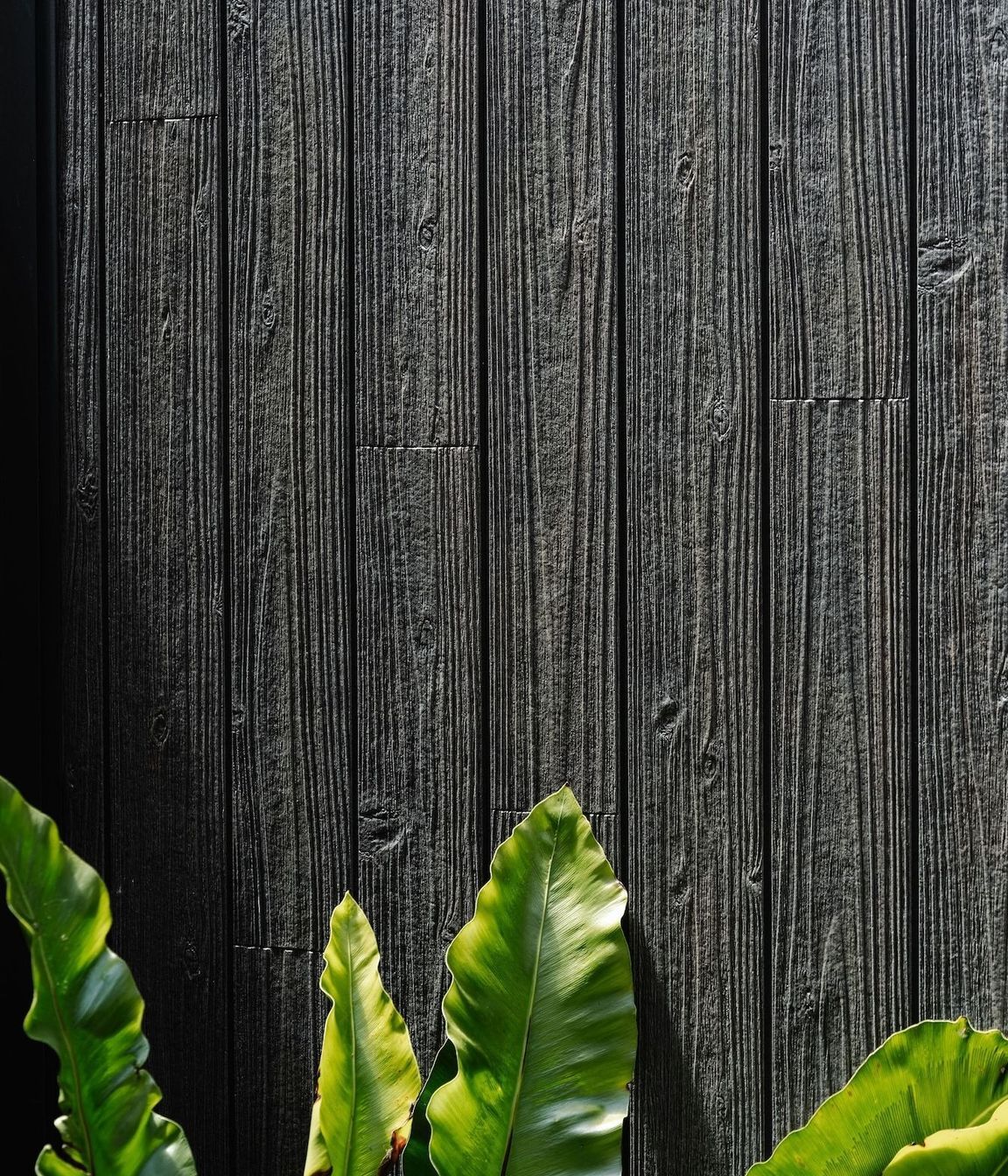 17-envirotecture-greenhousegrove-renovation-victoria-cladding.jpg