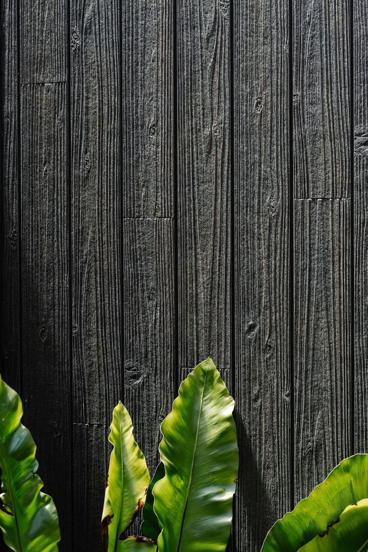 17-envirotecture-greenhousegrove-renovation-victoria-cladding.jpg