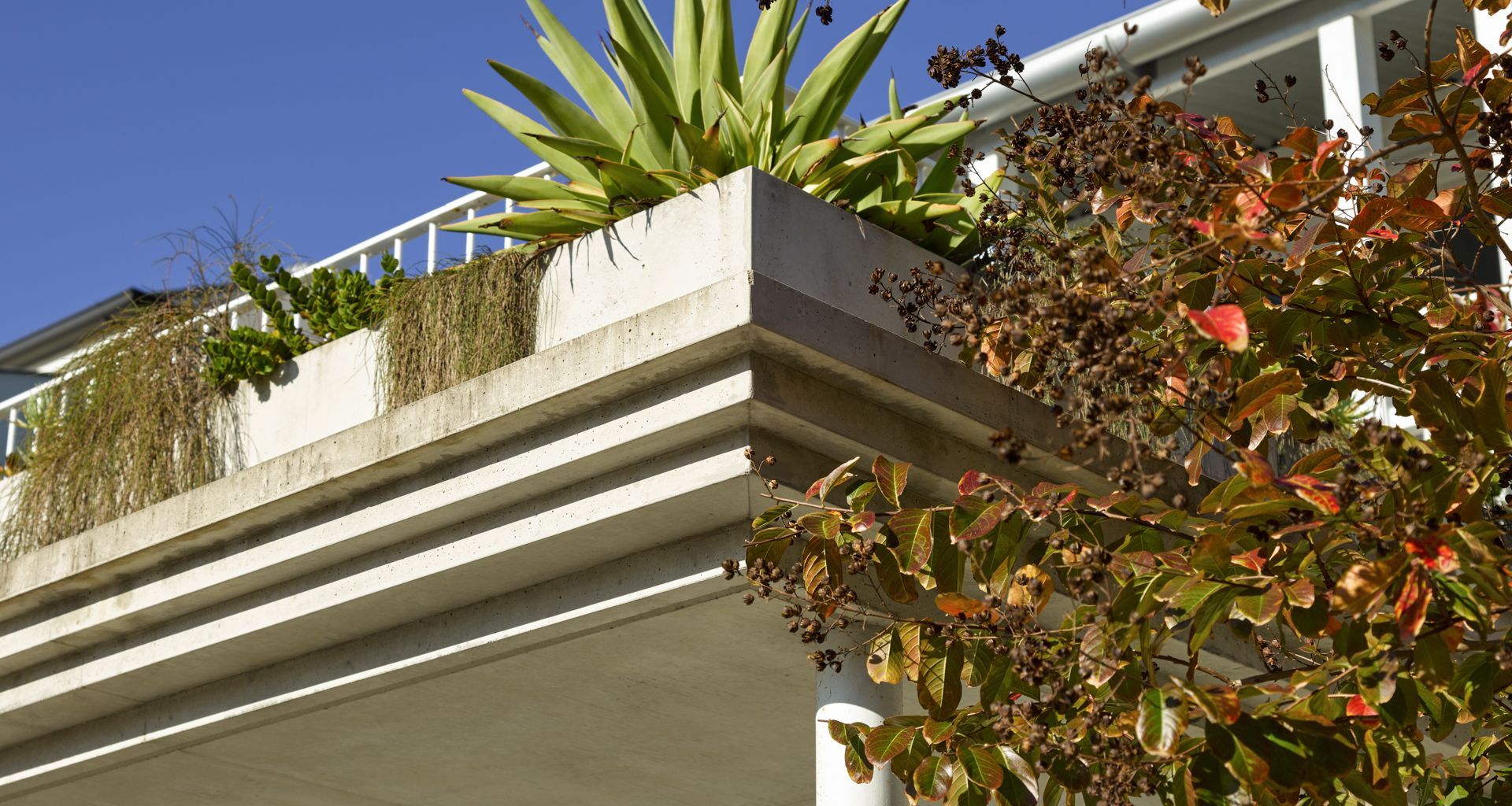 Kent St Carport banner