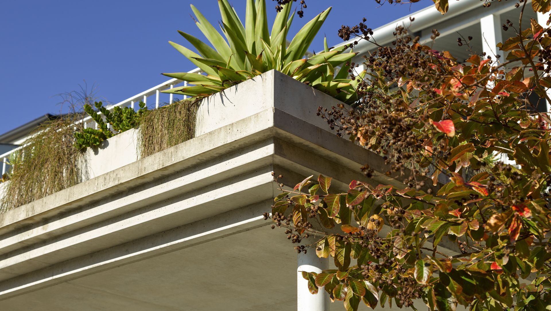 Kent St Carport banner