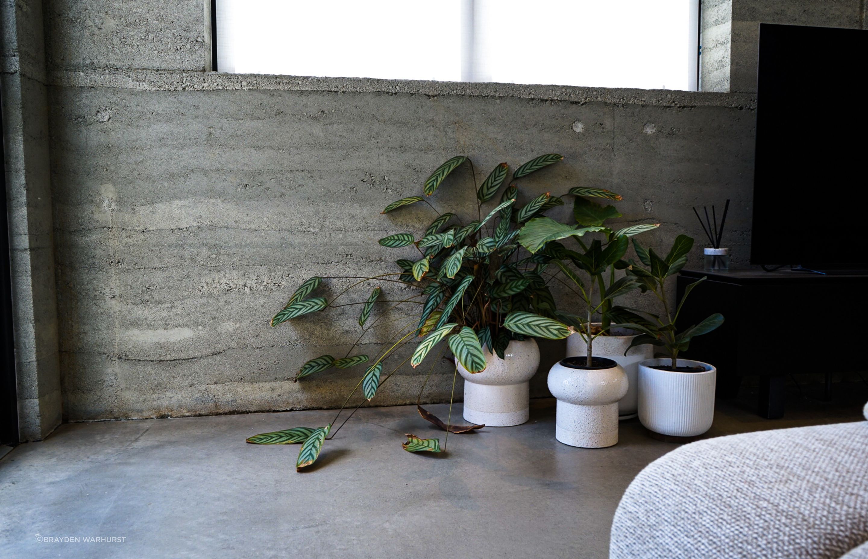 Luxury Industrial Living