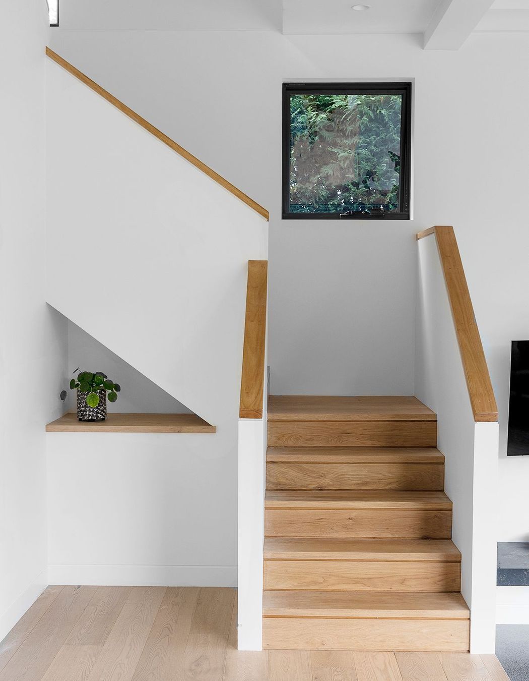 **Boyle Street Balgowlah