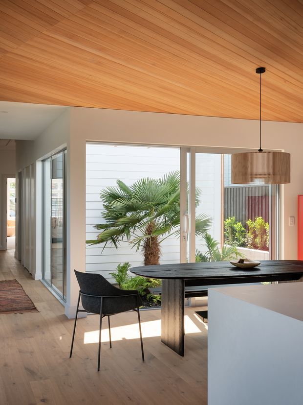 Bright contemporary dining area with a black stone or dark timber dining table, sculptural pedestal base, and a black upholstered chair beside a white kitchen island. The space has pale timber flooring, a warm timber-lined ceiling, large floor-to-ceiling windows and sliding doors, and abundant indoor-outdoor greenery visible through the glazing. A woven pendant light hangs above the table, with a corridor and glazed rooms extending to the left.