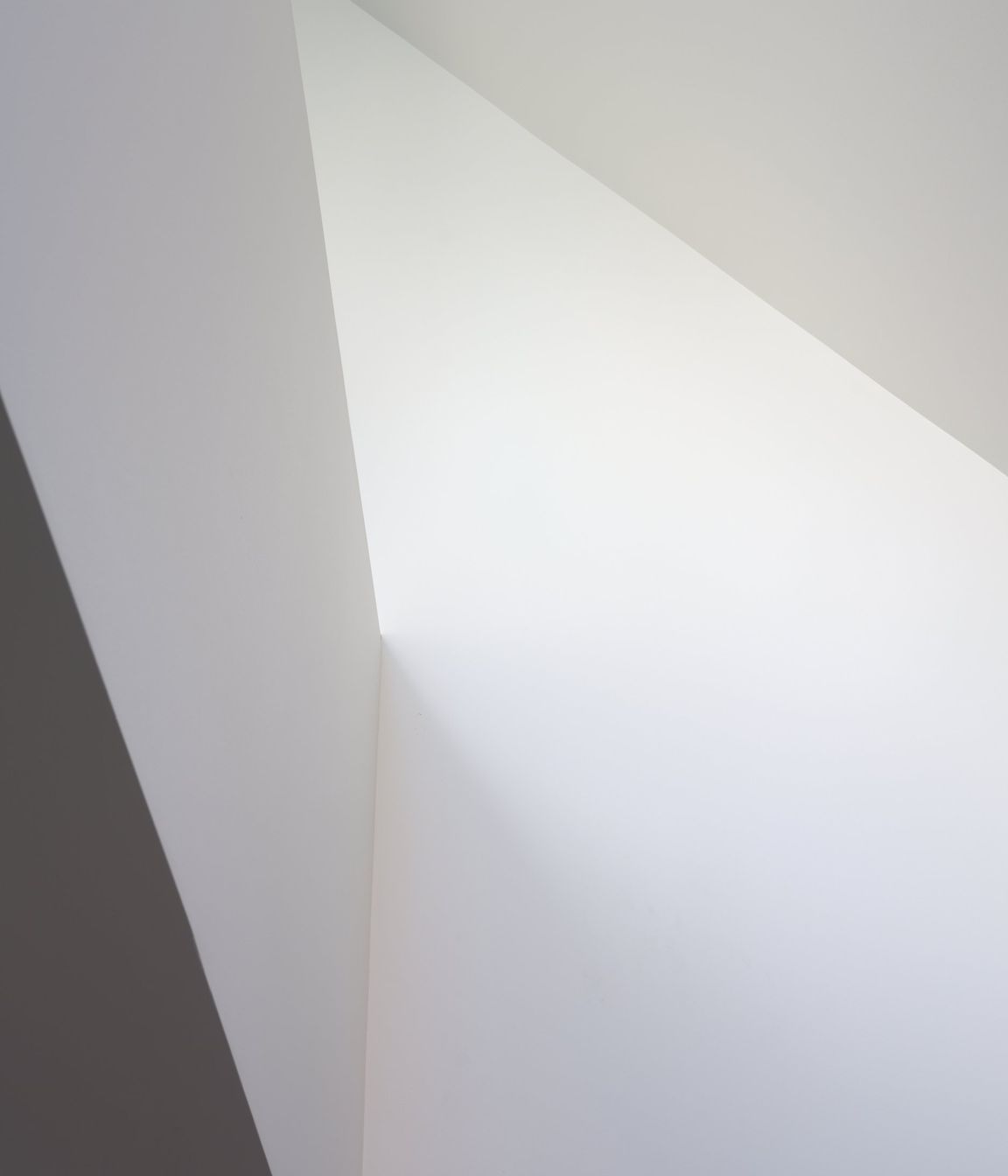 DSF8044web.jpg