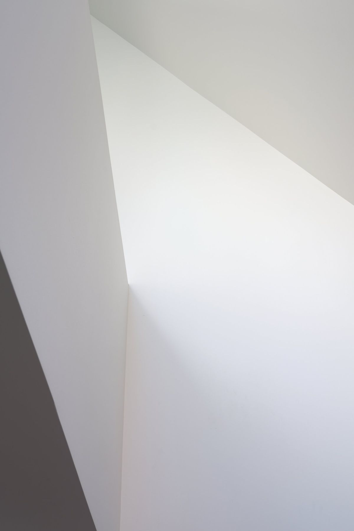 DSF8044web.jpg