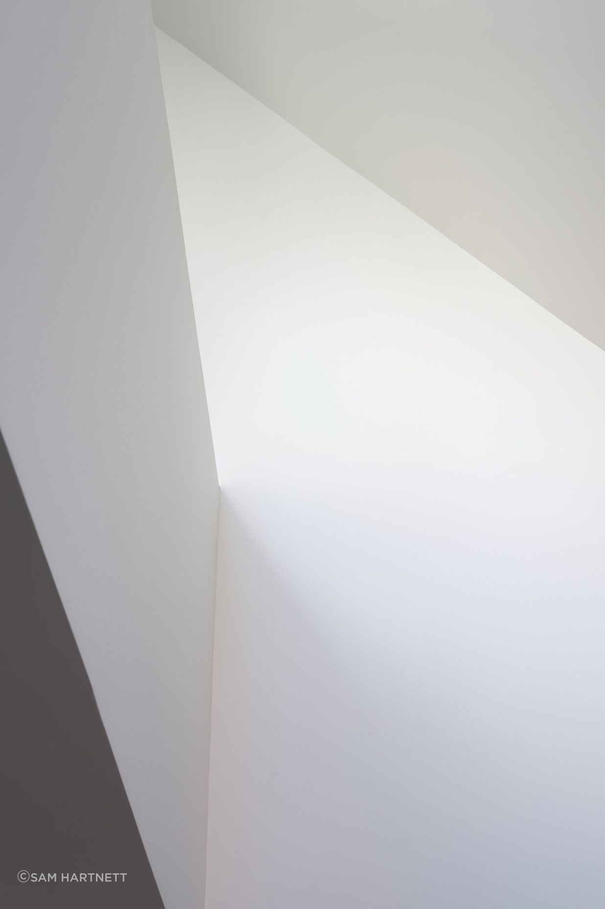 DSF8044web.jpg