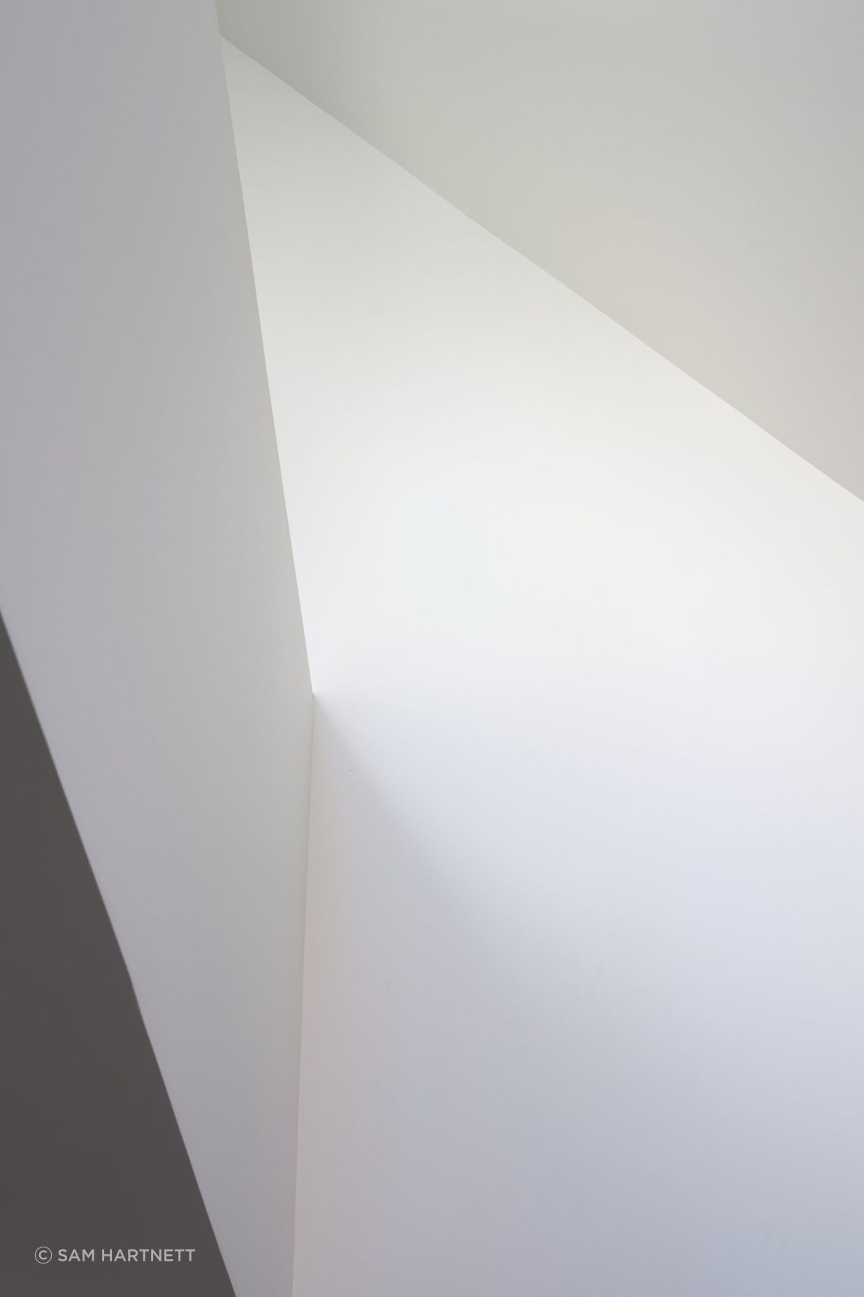 DSF8044web.jpg