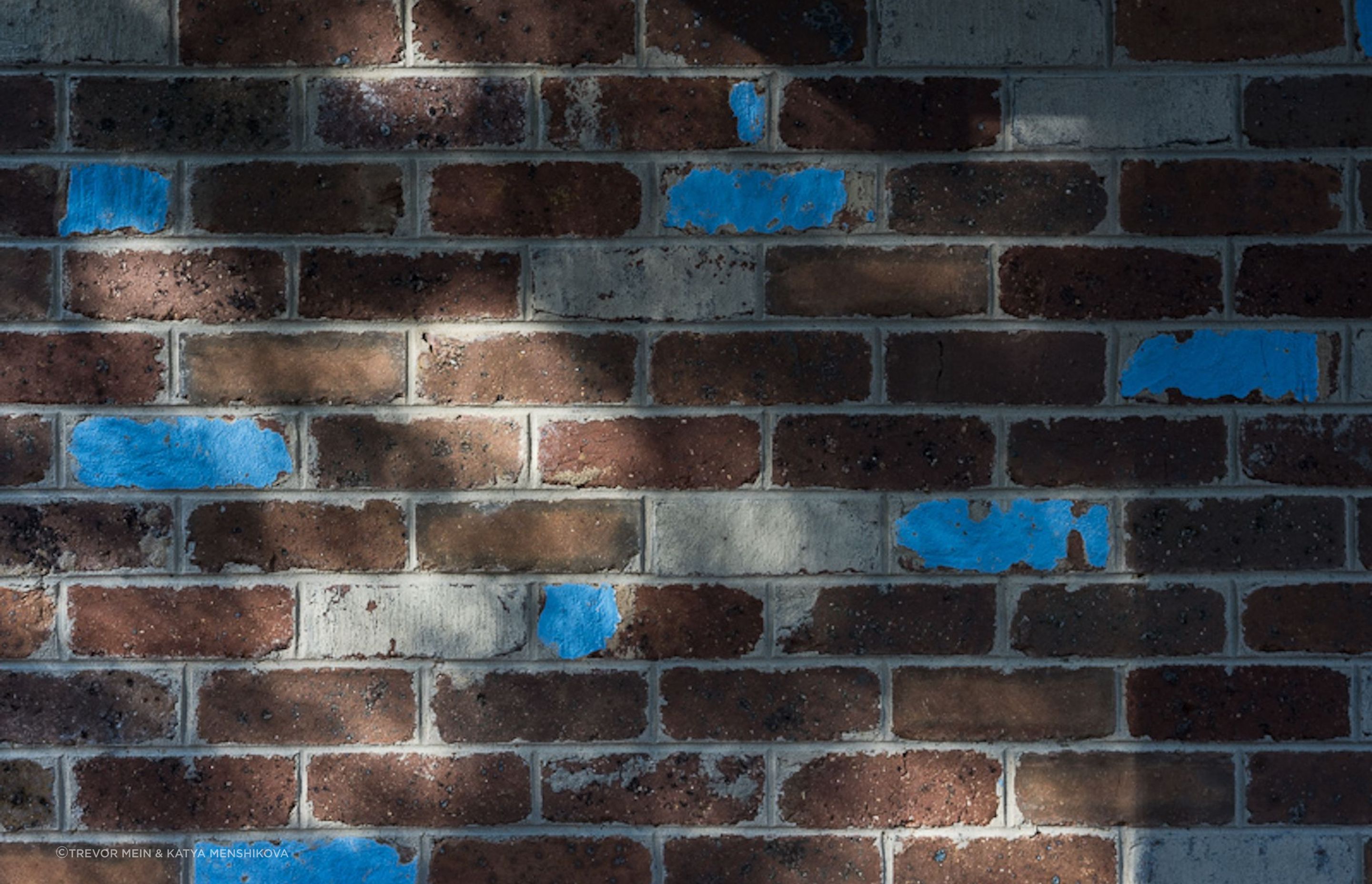 Recycled brick exterior, Shoreham Beach Studio