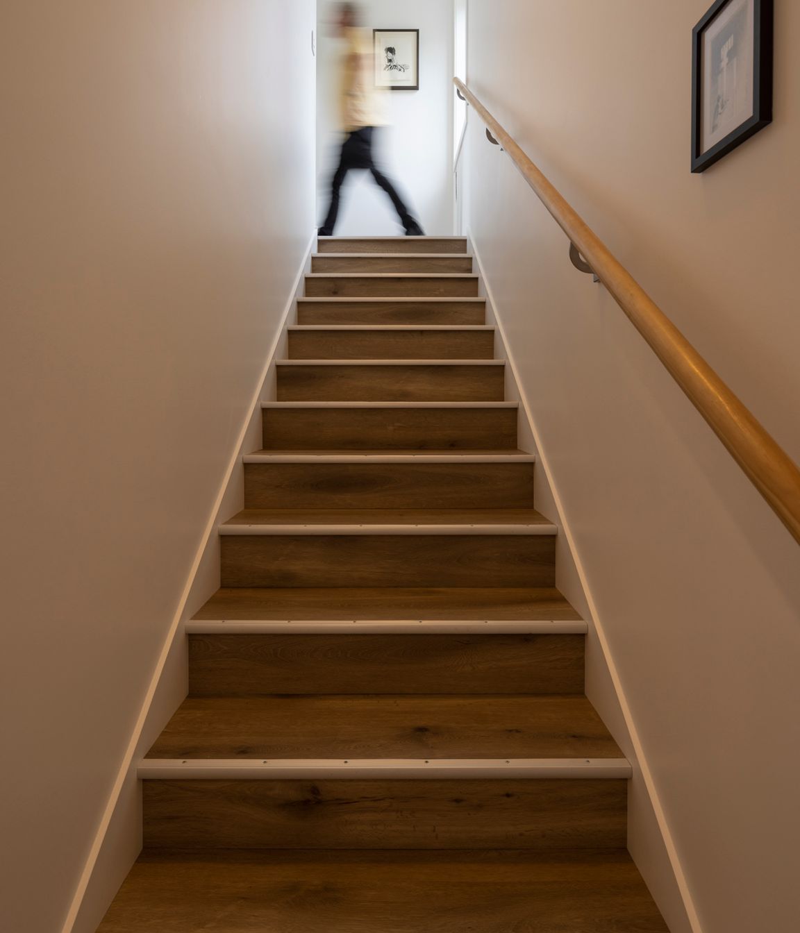 Broad Bay Project