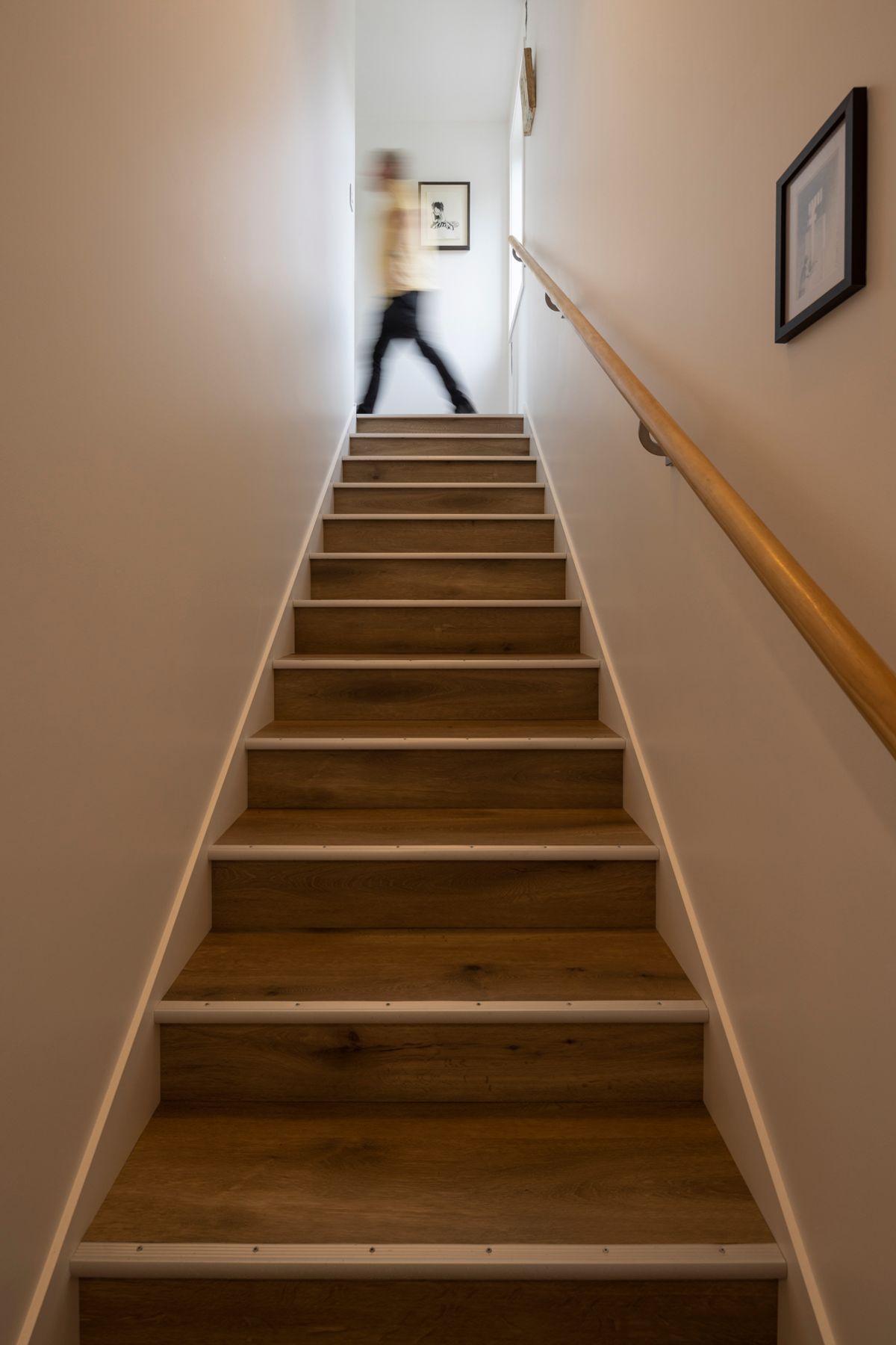 Broad Bay Project
