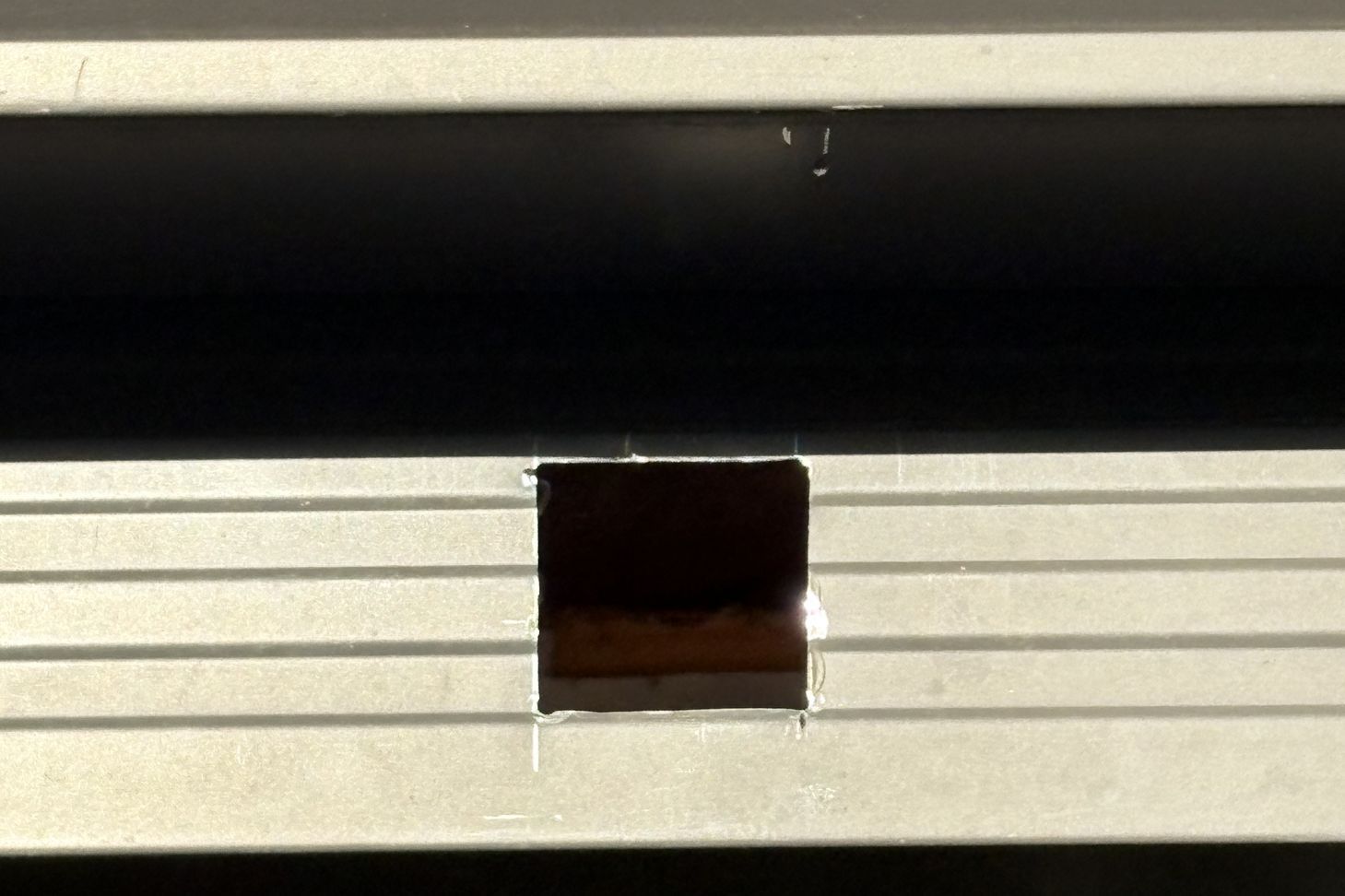 IMG3726HEIC.jpg