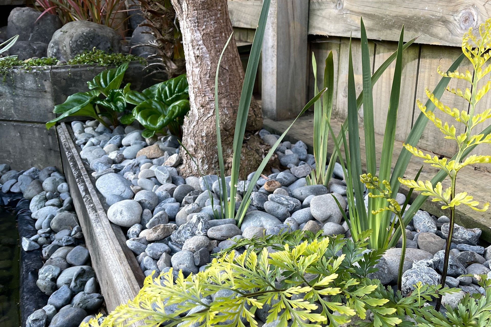 Raumati Beach - Angled Macrocarpa Garden Bed