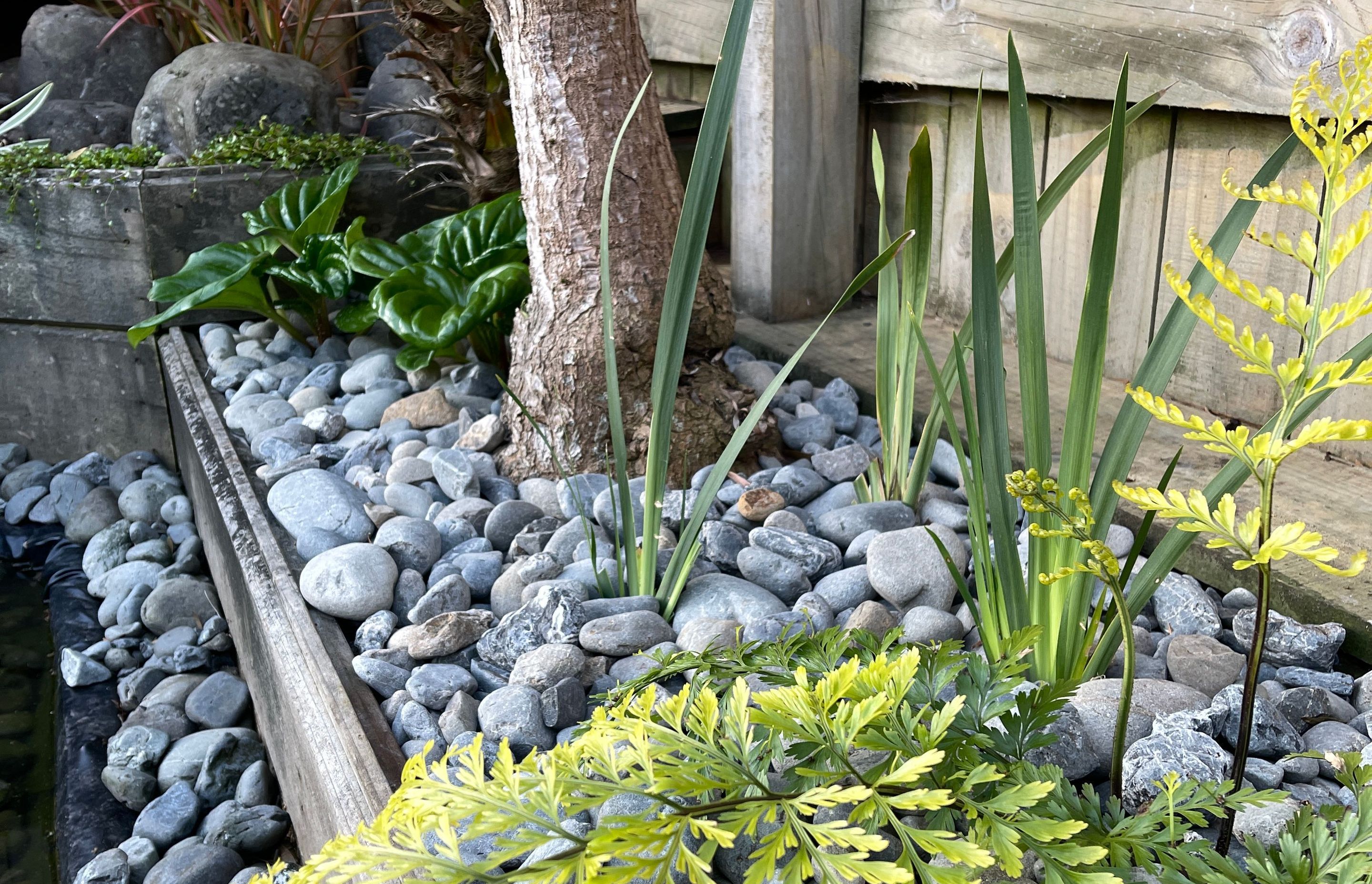 Raumati Beach - Angled Macrocarpa Garden Bed