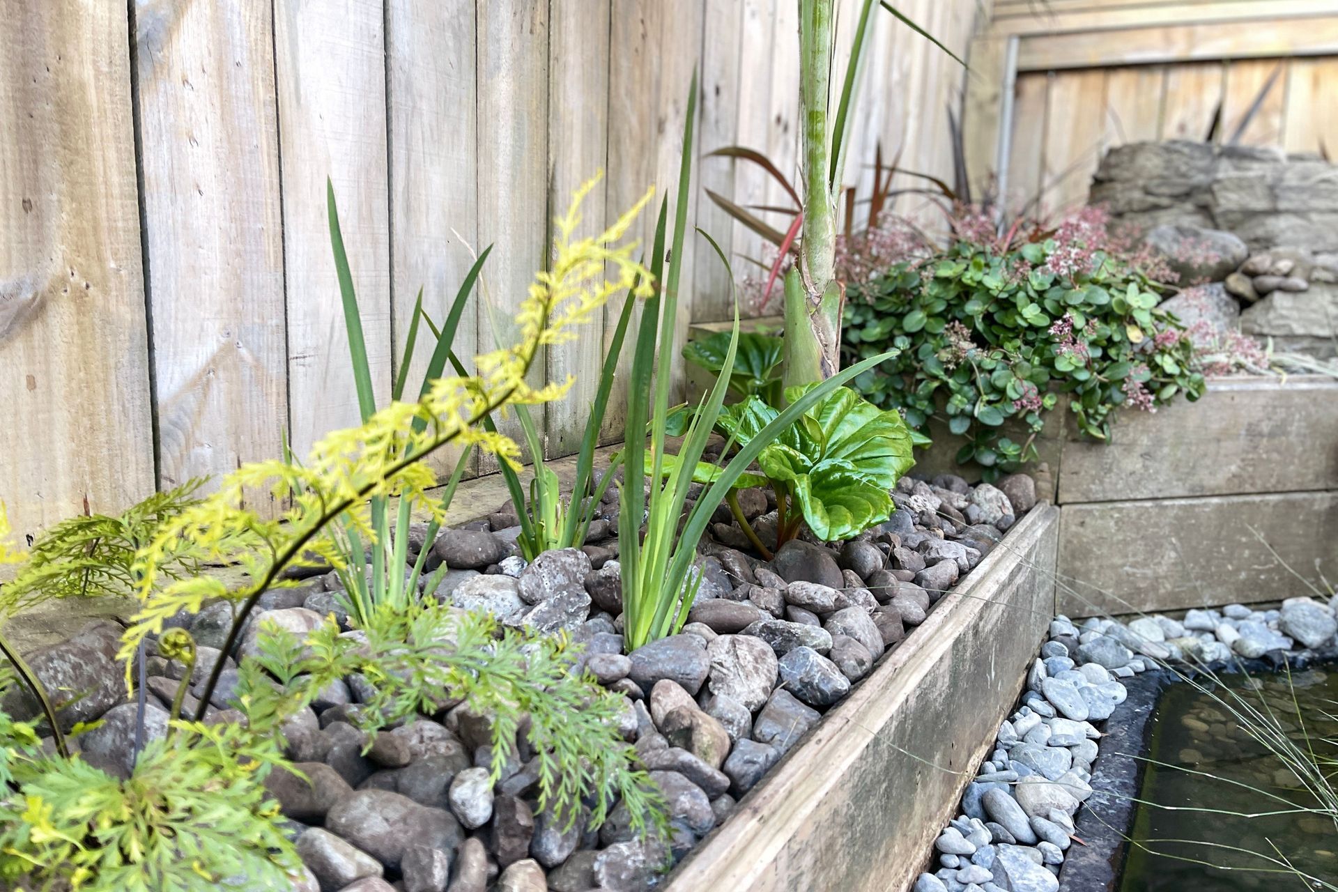 Raumati Beach - Angled Macrocarpa Garden Bed