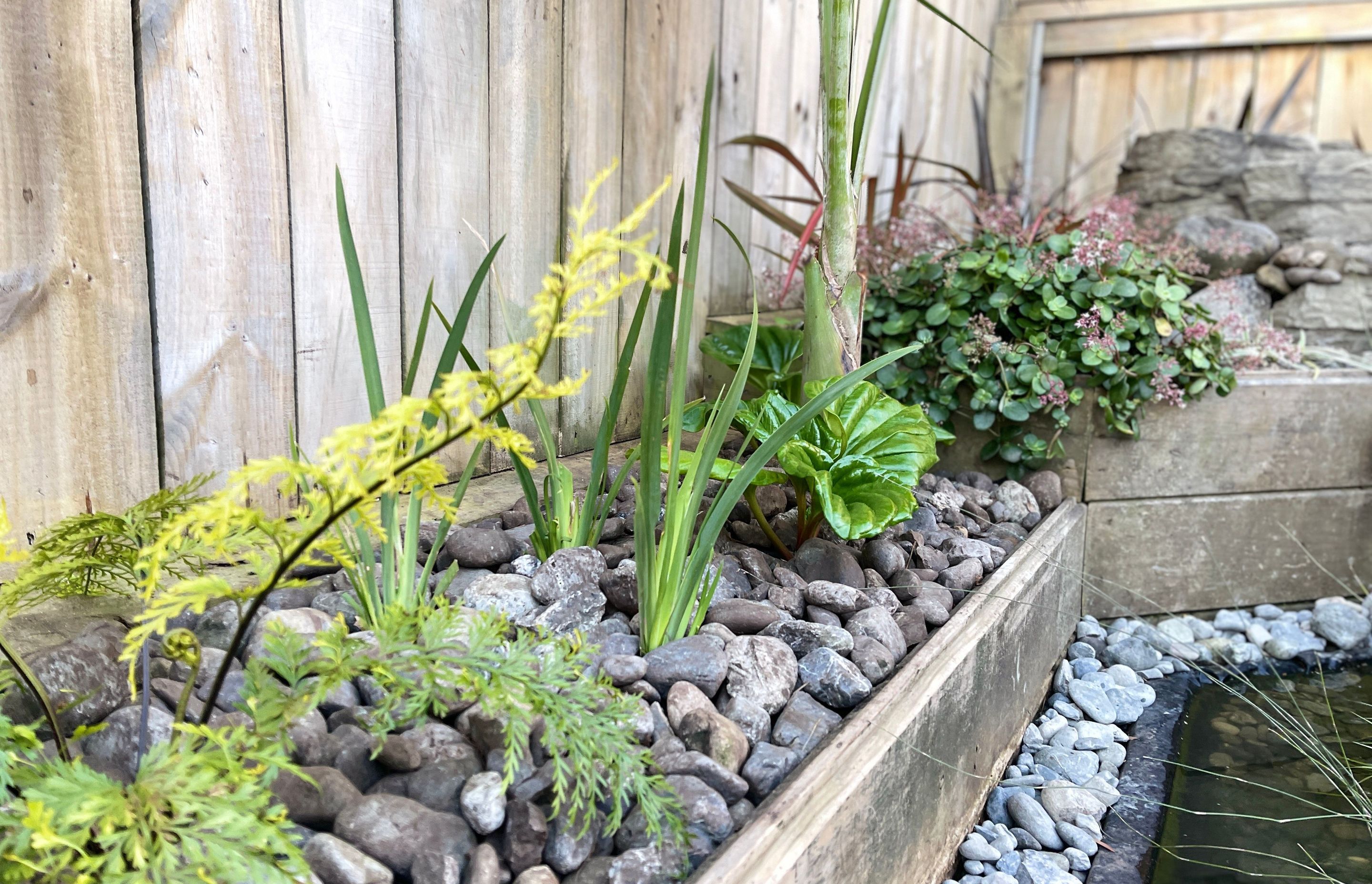 Raumati Beach - Angled Macrocarpa Garden Bed