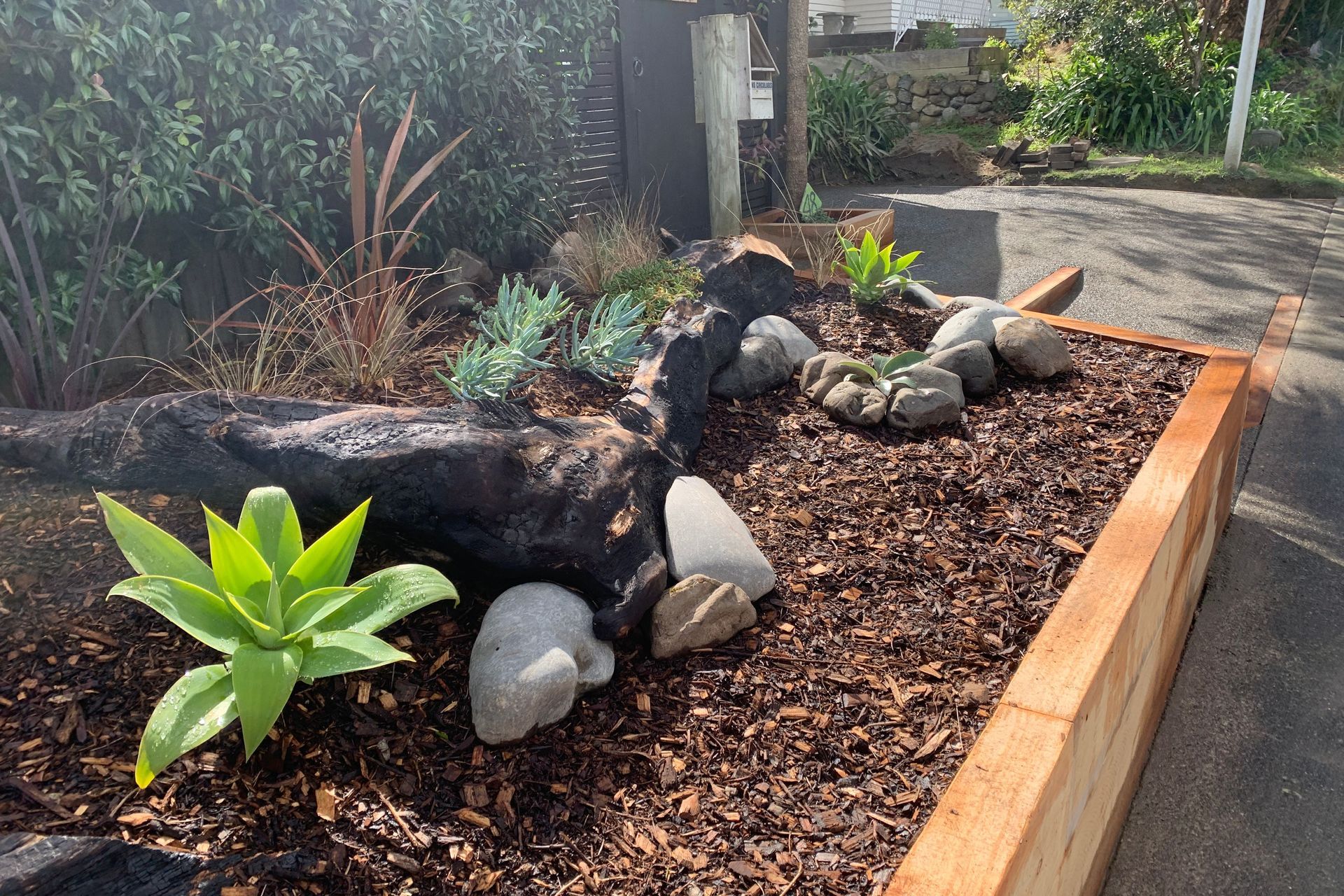 Raumati Beach - Angled Macrocarpa Garden Bed
