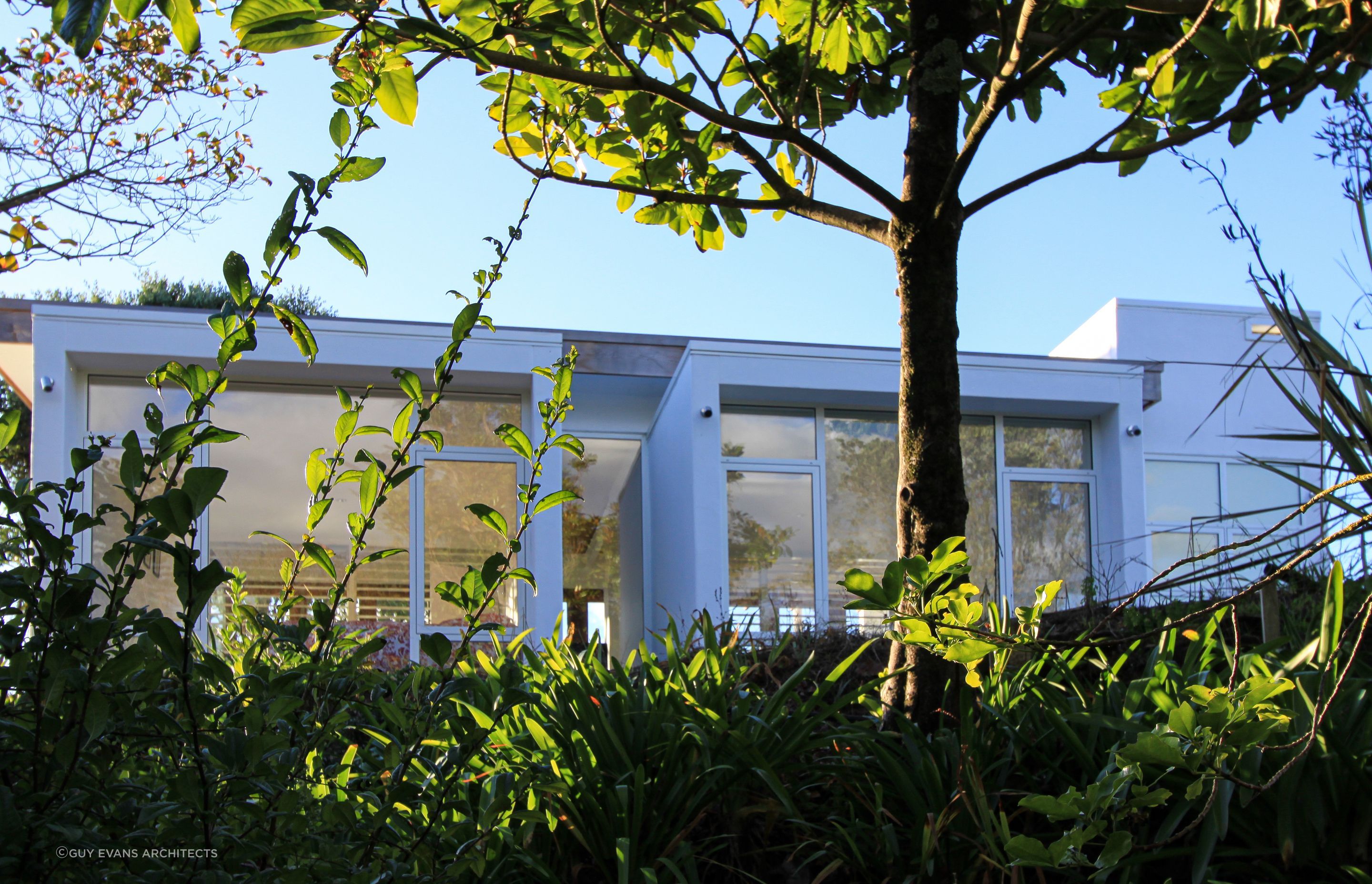 Kapiti-Guest-HouseGuy-Evans-Photographer3.jpg