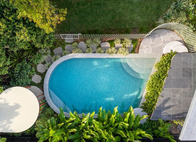 Totoro's Pool — Circular Elegance